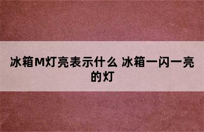 冰箱M灯亮表示什么 冰箱一闪一亮的灯